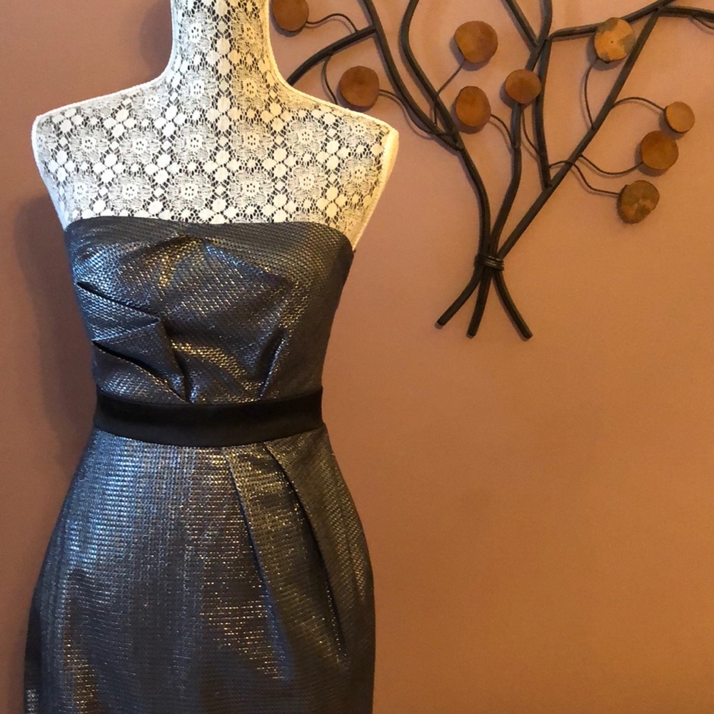 [max and cleo] Strapless Silver Black Dress Size 2